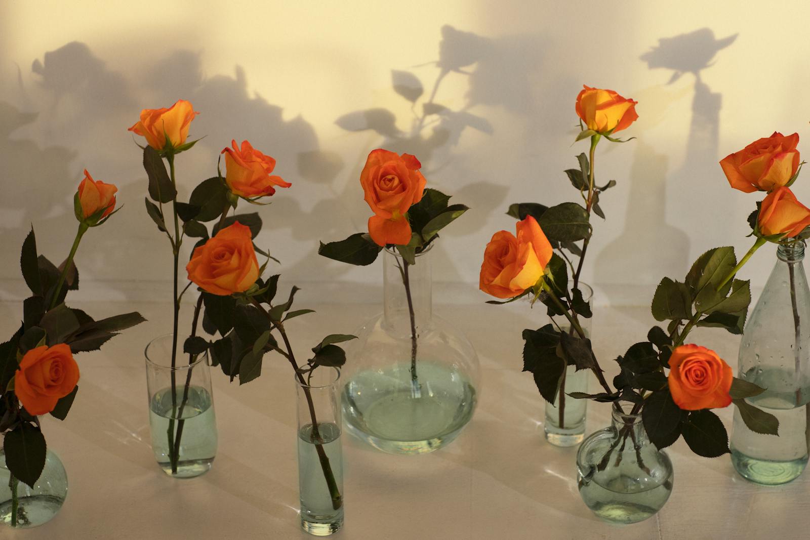 orangene Rosen im Wasserglas